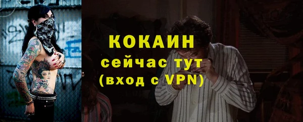 индика Белоозёрский