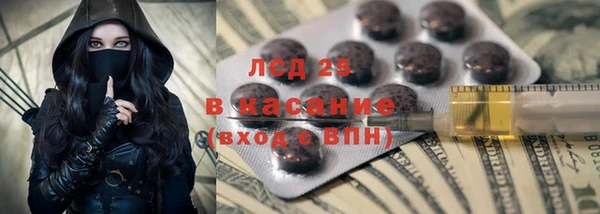 индика Белоозёрский