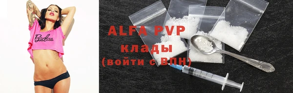 кокс Белокуриха