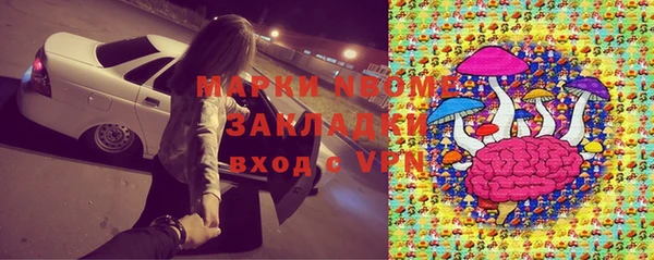 индика Белоозёрский