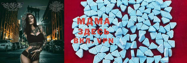 индика Белоозёрский