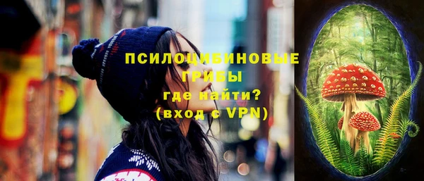кокс Белокуриха