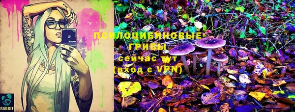 кокс Белокуриха
