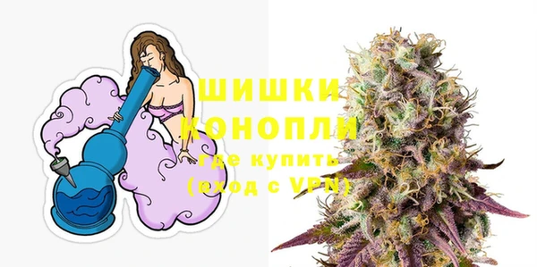 индика Белоозёрский